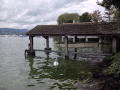 Ein Haufen Steine am See - Foto: AHOY