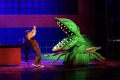 Midi Zwoey Foto: Michael Böhmländer, Festspielhaus Neuschwanstein