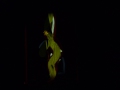 25_pies-gestalten_phoenix_lichtner_tv