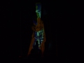 26_pies-gestalten_phoenix_lichtner_tv